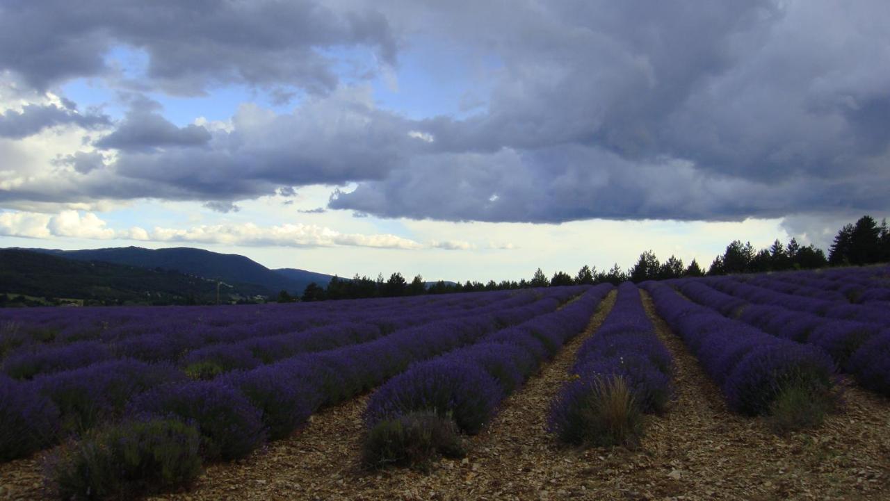 La Maison Bleue Sault-de-Vaucluse Εξωτερικό φωτογραφία
